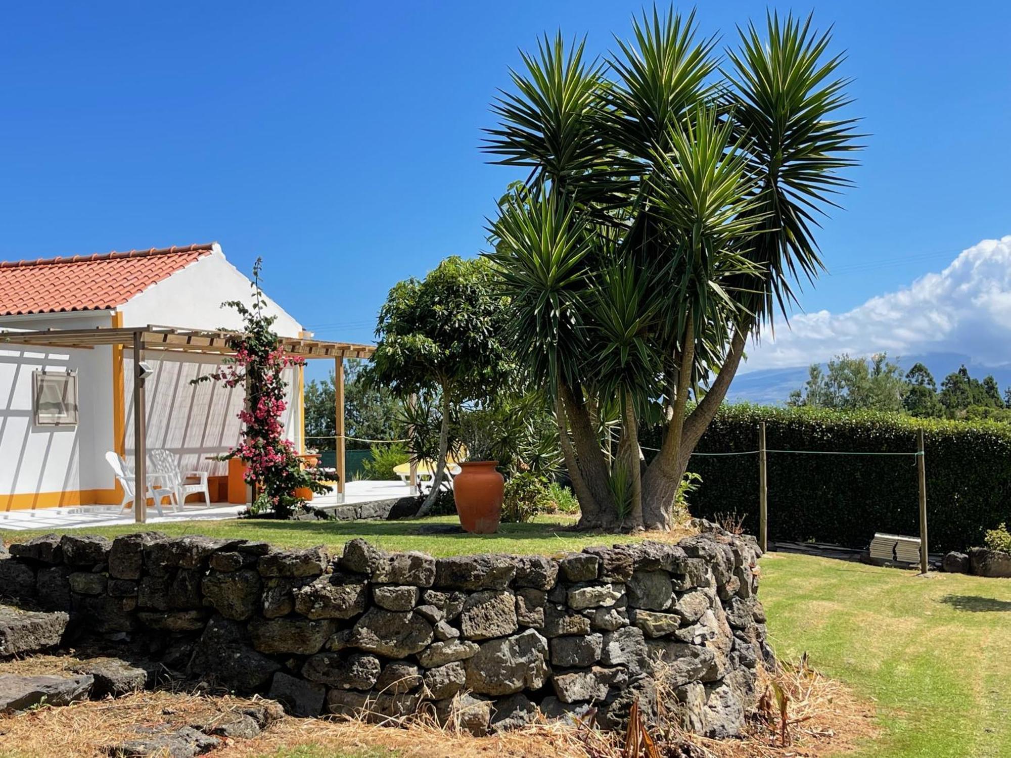 Villa Casa Do Bicho Pau Pedro Miguel Exterior foto